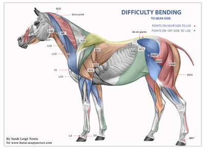 difficulty bending in horse